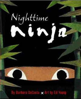 nighttime ninja